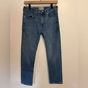EUC Everlane denim